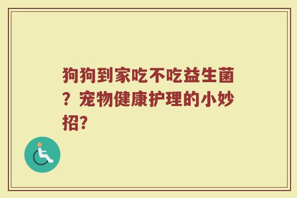 狗狗到家吃不吃益生菌?宠物健康护理的小妙招?