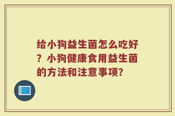 给小狗益生菌怎么吃好?小狗健康食用益生菌的方法和注意事项?