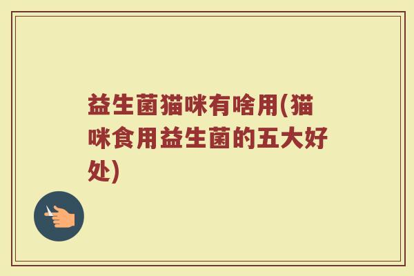 益生菌猫咪有啥用(猫咪食用益生菌的五大好处)