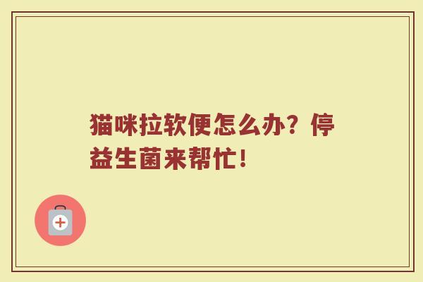 猫咪拉软便怎么办？停益生菌来帮忙！