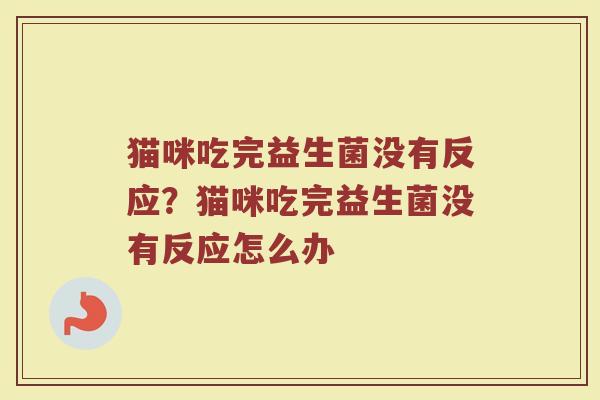 猫咪吃完益生菌没有反应?猫咪吃完益生菌没有反应怎么办 猫咪吃完益生菌没有反应?猫咪吃完益生菌没有反应怎么办