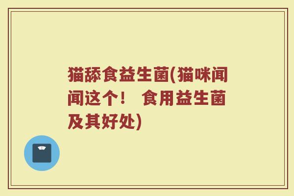 猫舔食益生菌(猫咪闻闻这个！ 食用益生菌及其好处)
