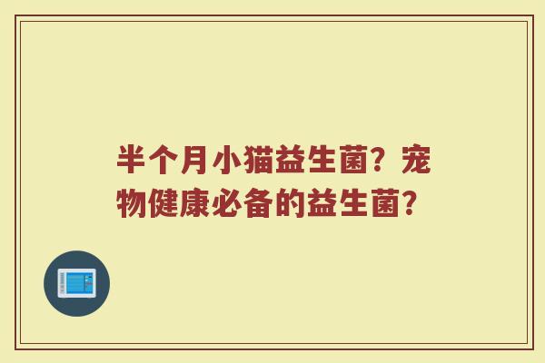 半个月小猫益生菌?宠物健康必备的益生菌?