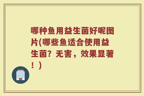 哪种鱼用益生菌好呢图片(哪些鱼适合使用益生菌?无害,效果显著!)
