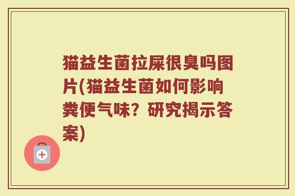 猫益生菌拉屎很臭吗图片(猫益生菌如何影响粪便气味?研究揭示答案)