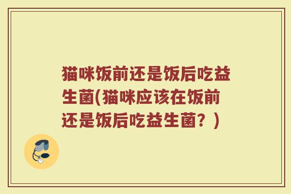 猫咪饭前还是饭后吃益生菌(猫咪应该在饭前还是饭后吃益生菌?)