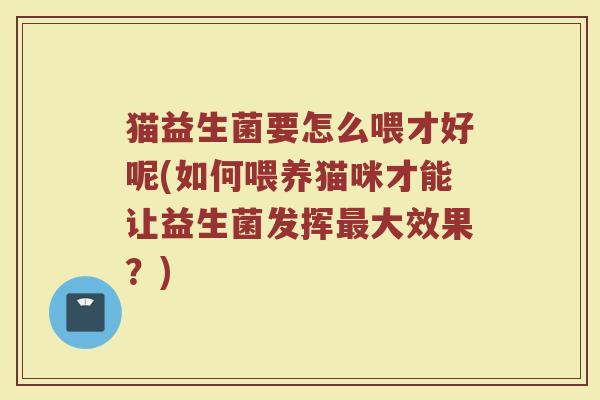 猫益生菌要怎么喂才好呢(如何喂养猫咪才能让益生菌发挥最大效果?)