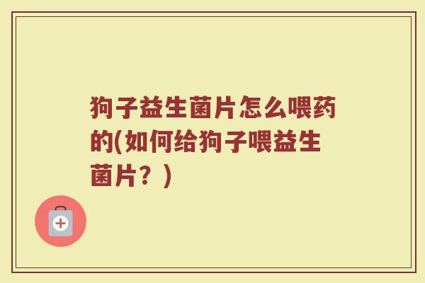 狗子益生菌片怎么喂药的(如何给狗子喂益生菌片？)