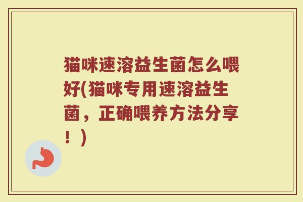 猫咪速溶益生菌怎么喂好(猫咪专用速溶益生菌,正确喂养方法分享!)