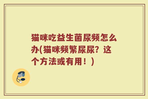 猫咪吃益生菌尿频怎么办(猫咪频繁尿尿?这个方法或有用!)