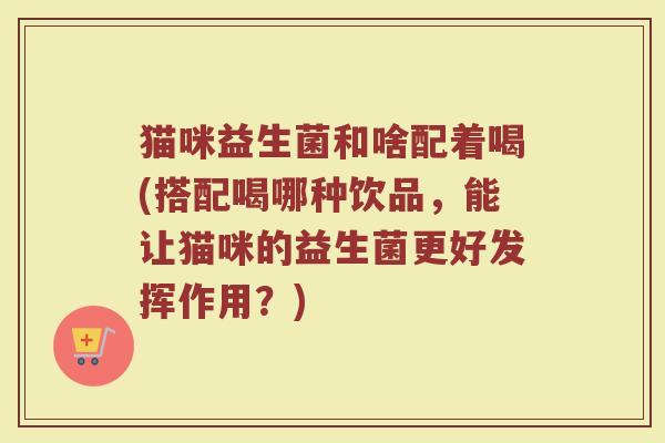猫咪益生菌和啥配着喝(搭配喝哪种饮品，能让猫咪的益生菌更好发挥作用？)