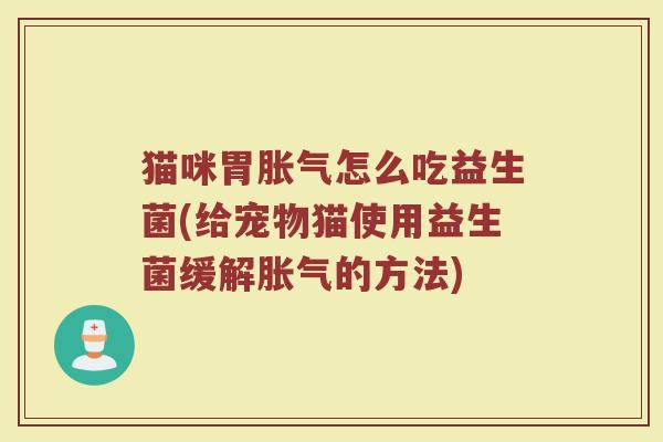 猫咪胃胀气怎么吃益生菌(给宠物猫使用益生菌缓解胀气的方法)