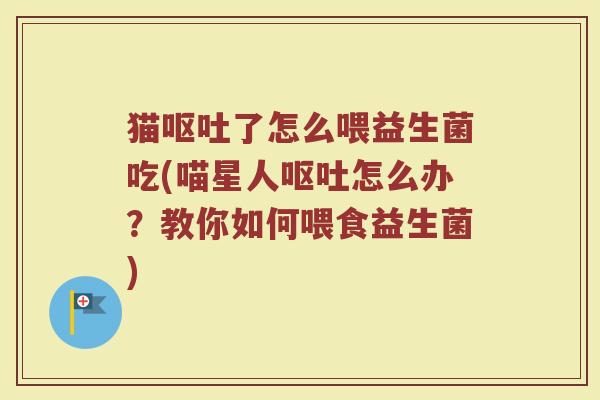 猫呕吐了怎么喂益生菌吃(喵星人呕吐怎么办?教你如何喂食益生菌)
