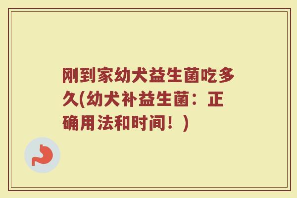 刚到家幼犬益生菌吃多久(幼犬补益生菌:正确用法和时间!)