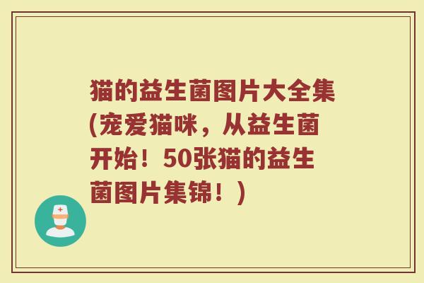 猫的益生菌图片大全集(宠爱猫咪，从益生菌开始！50张猫的益生菌图片集锦！)