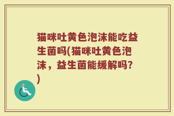 猫咪吐黄色泡沫能吃益生菌吗(猫咪吐黄色泡沫，益生菌能缓解吗？)