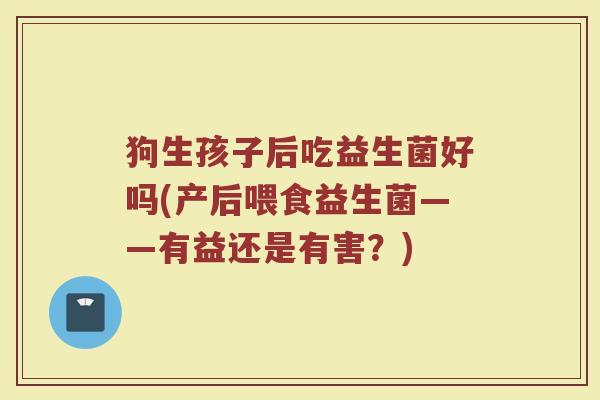 狗生孩子后吃益生菌好吗(产后喂食益生菌——有益还是有害?)