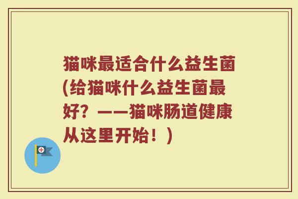猫咪最适合什么益生菌(给猫咪什么益生菌最好？——猫咪肠道健康从这里开始！)