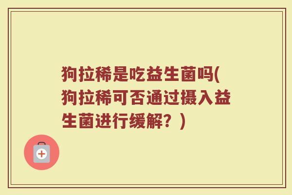 狗拉稀是吃益生菌吗(狗拉稀可否通过摄入益生菌进行缓解?)