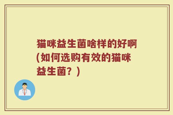猫咪益生菌啥样的好啊(如何选购有效的猫咪益生菌?)