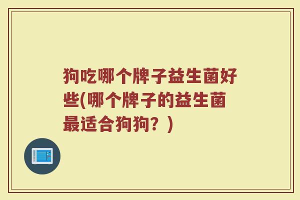 狗吃哪个牌子益生菌好些(哪个牌子的益生菌最适合狗狗?)