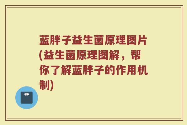 蓝胖子益生菌原理图片(益生菌原理图解,帮你了解蓝胖子的作用机制)