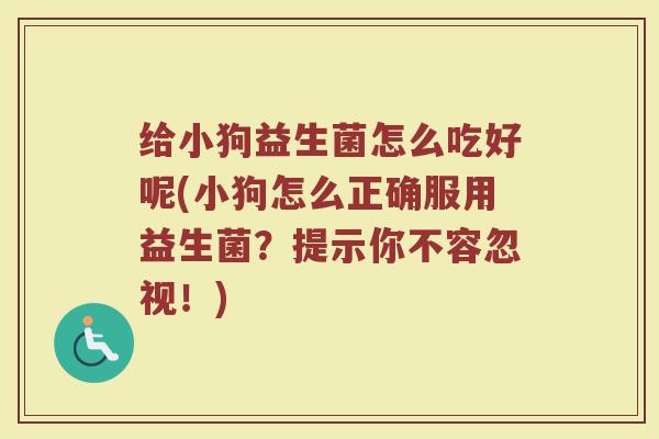 给小狗益生菌怎么吃好呢(小狗怎么正确服用益生菌?提示你不容忽视!) 给小狗益生菌怎么吃好呢(小狗怎么正确服用益生菌?提示你不容忽视!)