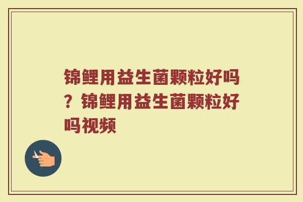 锦鲤用益生菌颗粒好吗？锦鲤用益生菌颗粒好吗视频
