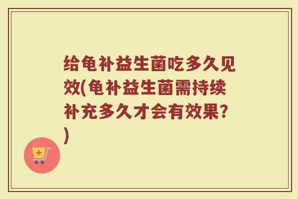 给龟补益生菌吃多久见效(龟补益生菌需持续补充多久才会有效果?)
