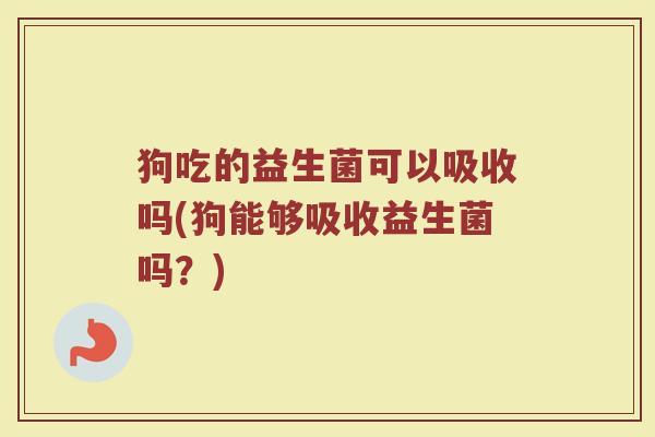 狗吃的益生菌可以吸收吗(狗能够吸收益生菌吗?)