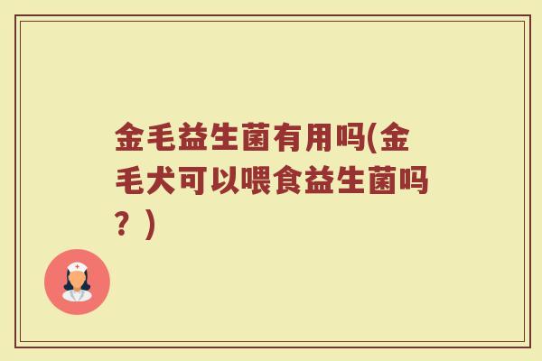 金毛益生菌有用吗(金毛犬可以喂食益生菌吗？)