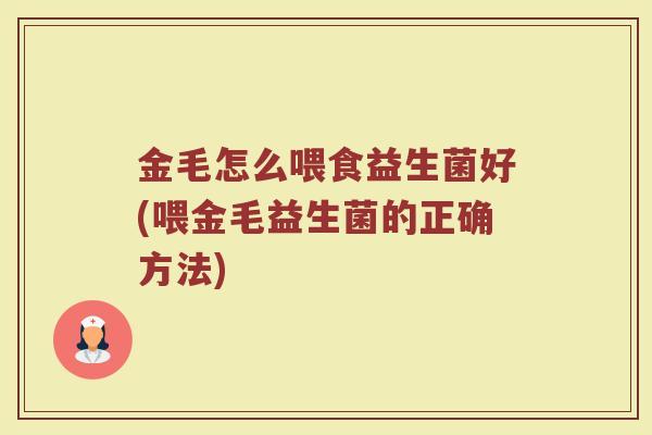 金毛怎么喂食益生菌好(喂金毛益生菌的正确方法)