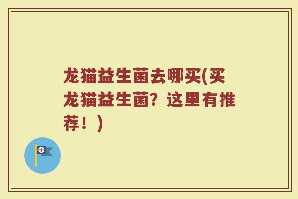 龙猫益生菌去哪买(买龙猫益生菌?这里有推荐!)