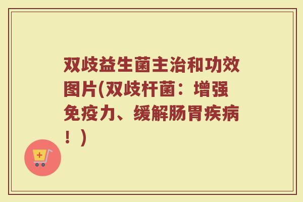 双歧益生菌主治和功效图片(双歧杆菌:增强免疫力、缓解肠胃疾病!)