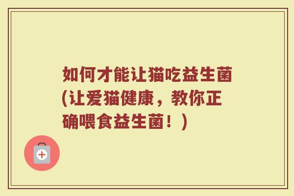 如何才能让猫吃益生菌(让爱猫健康,教你正确喂食益生菌!)