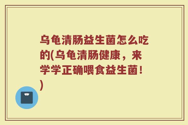 乌龟清肠益生菌怎么吃的(乌龟清肠健康,来学学正确喂食益生菌!)