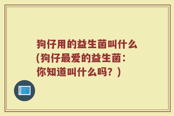 狗仔用的益生菌叫什么(狗仔最爱的益生菌:你知道叫什么吗?)