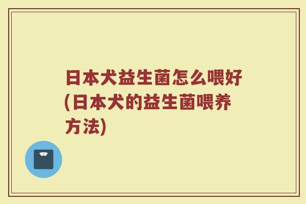 日本犬益生菌怎么喂好(日本犬的益生菌喂养方法) 日本犬益生菌怎么喂好(日本犬的益生菌喂养方法)