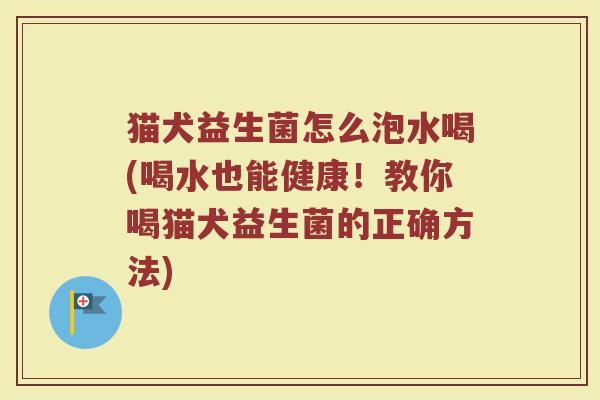 猫犬益生菌怎么泡水喝(喝水也能健康!教你喝猫犬益生菌的正确方法)