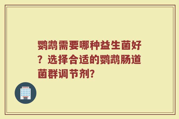 鹦鹉需要哪种益生菌好?选择合适的鹦鹉肠道菌群调节剂?