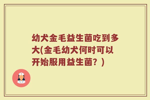 幼犬金毛益生菌吃到多大(金毛幼犬何时可以开始服用益生菌？)