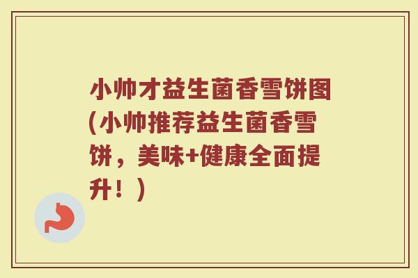 小帅才益生菌香雪饼图(小帅推荐益生菌香雪饼,美味+健康全面提升!)