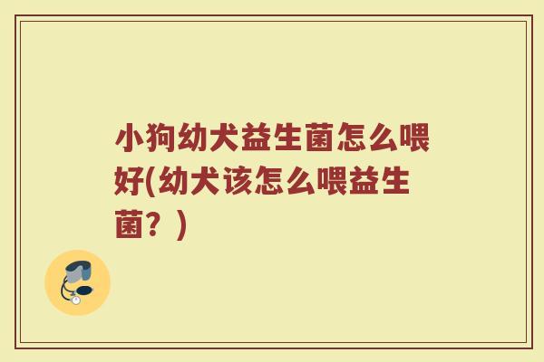 小狗幼犬益生菌怎么喂好(幼犬该怎么喂益生菌?)
