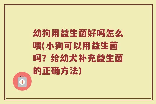 幼狗用益生菌好吗怎么喂(小狗可以用益生菌吗?给幼犬补充益生菌的正确方法)