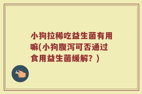 小狗拉稀吃益生菌有用嘛(小狗腹泻可否通过食用益生菌缓解？)