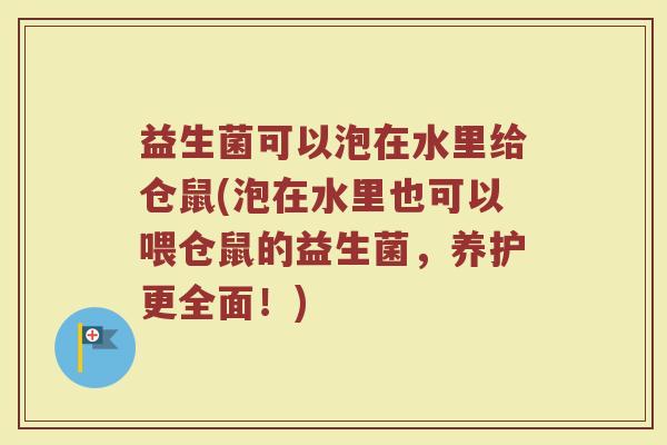 益生菌可以泡在水里给仓鼠(泡在水里也可以喂仓鼠的益生菌，养护更全面！)