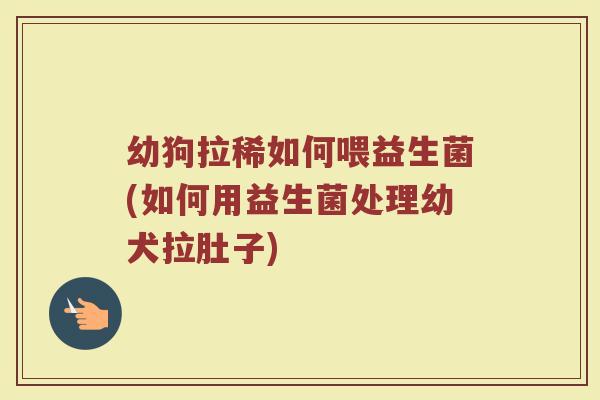 幼狗拉稀如何喂益生菌(如何用益生菌处理幼犬拉肚子) 幼狗拉稀如何喂益生菌(如何用益生菌处理幼犬拉肚子)