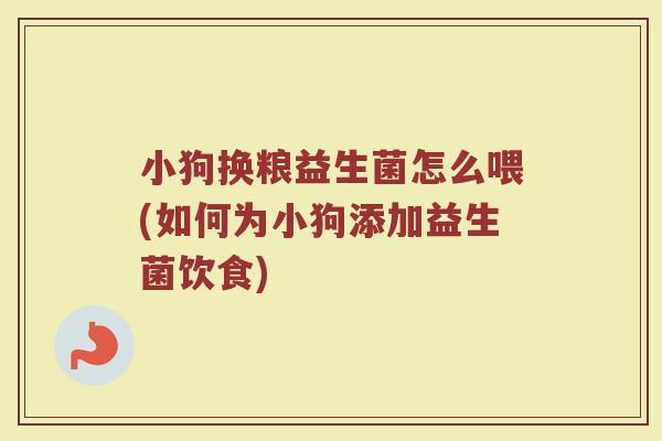 小狗换粮益生菌怎么喂(如何为小狗添加益生菌饮食)