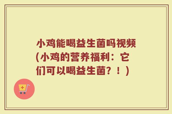 小鸡能喝益生菌吗视频(小鸡的营养福利：它们可以喝益生菌？！)