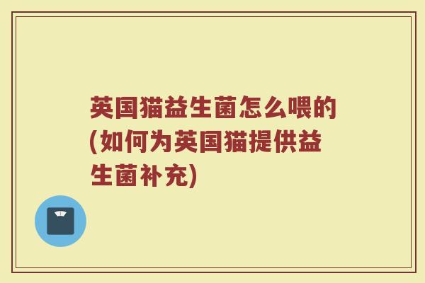 英国猫益生菌怎么喂的(如何为英国猫提供益生菌补充)